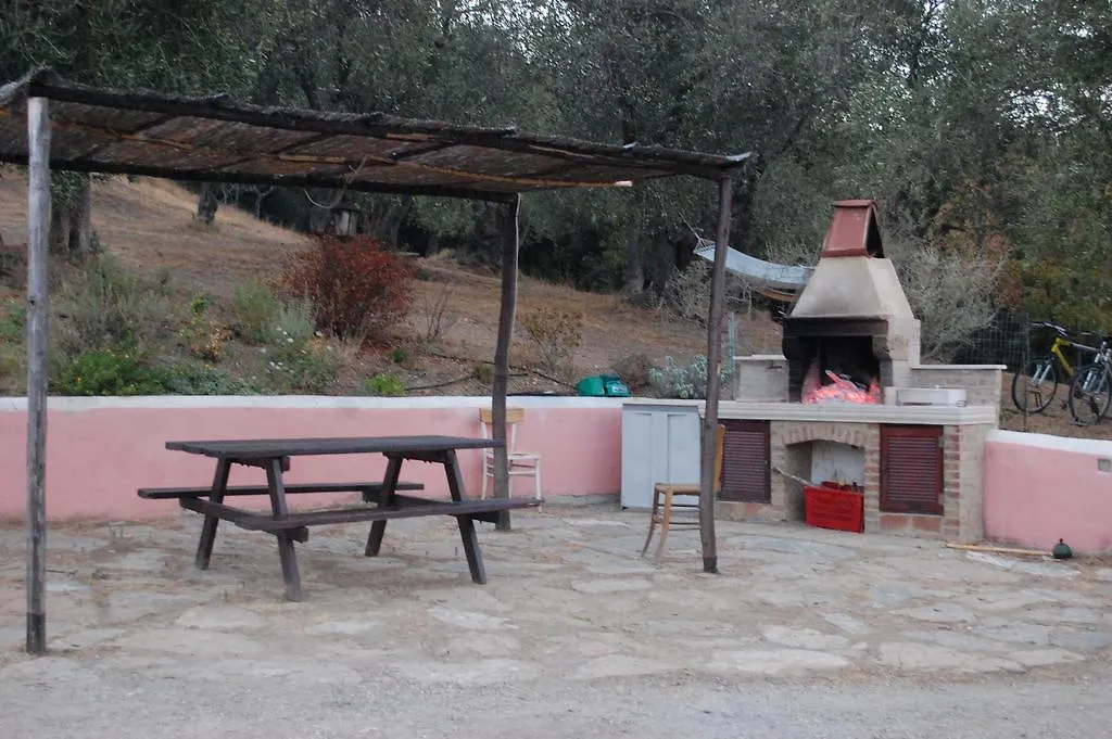 Bed and Breakfast Il Pino Vetulonia Bed & Breakfast