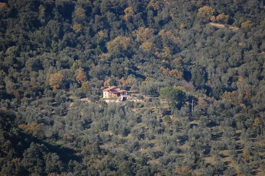 Bed and Breakfast Il Pino Vetulonia 0*,  Italia