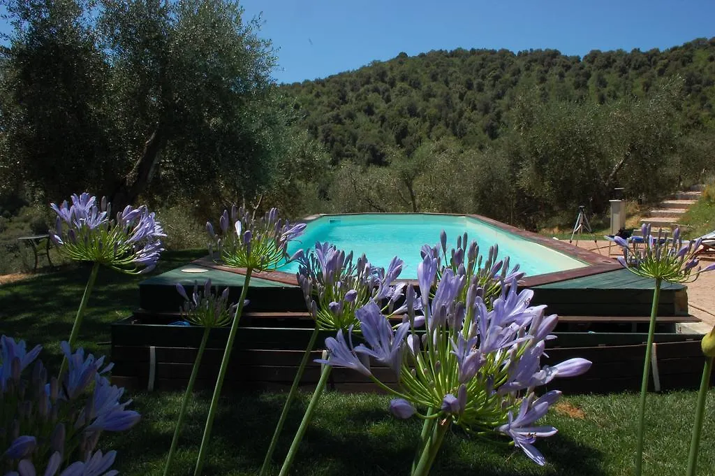 Bed and Breakfast Il Pino Vetulonia